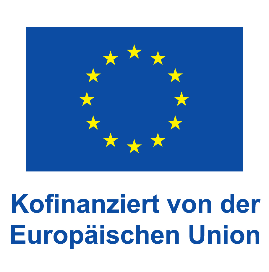 1d Logo EU Kofinanzeirt von der Europischen Union vertikal